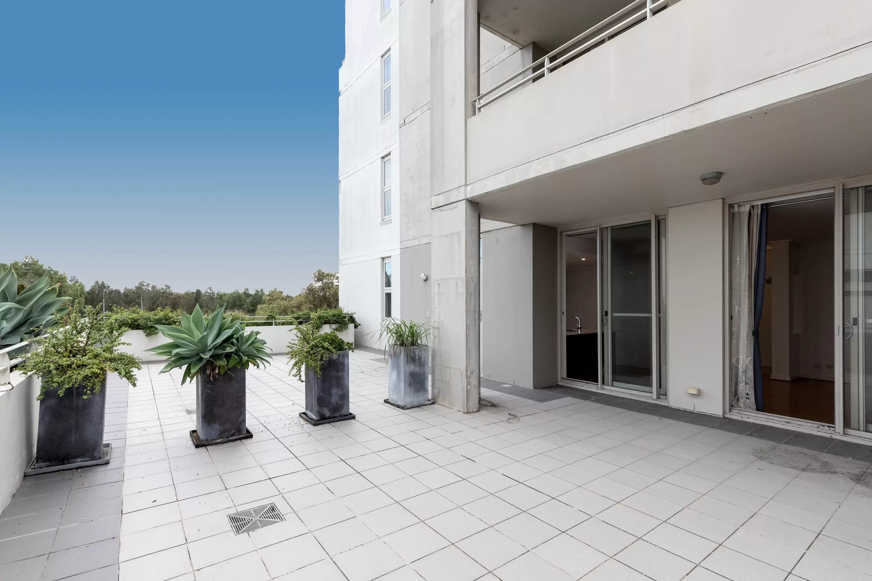 505/2 The Piazza, Wentworth Point Leased by The Gallery Real Estate - image 3