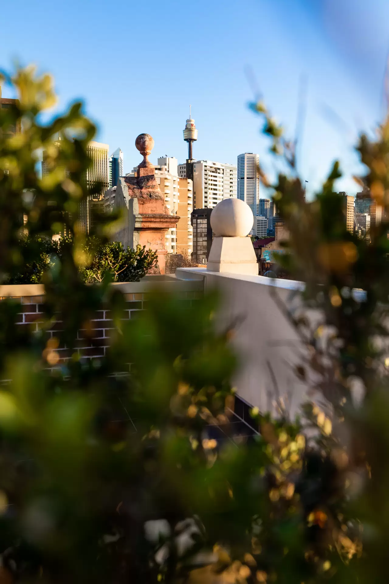 19/107 Oxford St, Darlinghurst Leased by The Gallery Real Estate - image 1