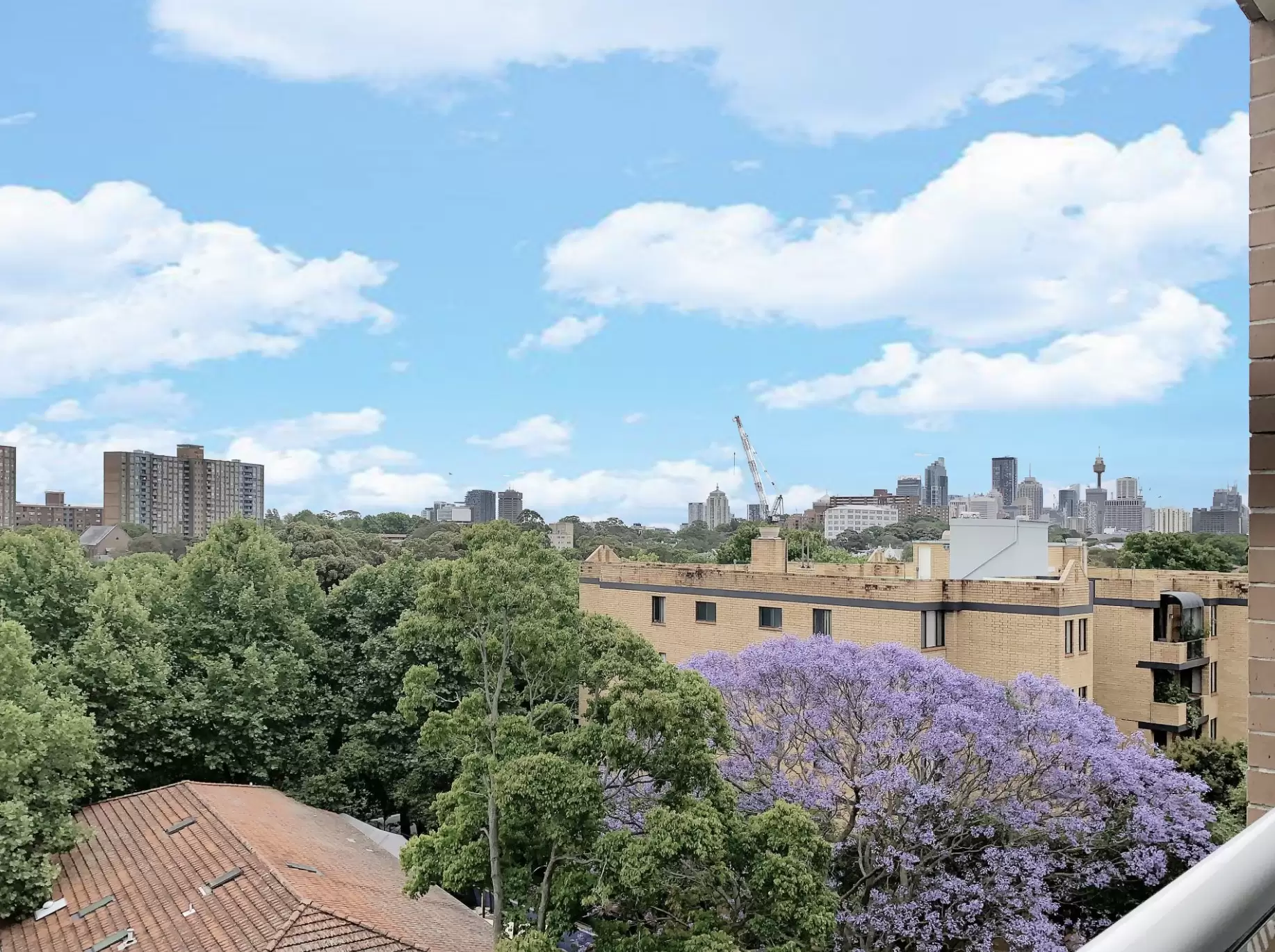 A801/780 Bourke Street, Redfern Leased by The Gallery Real Estate - image 8