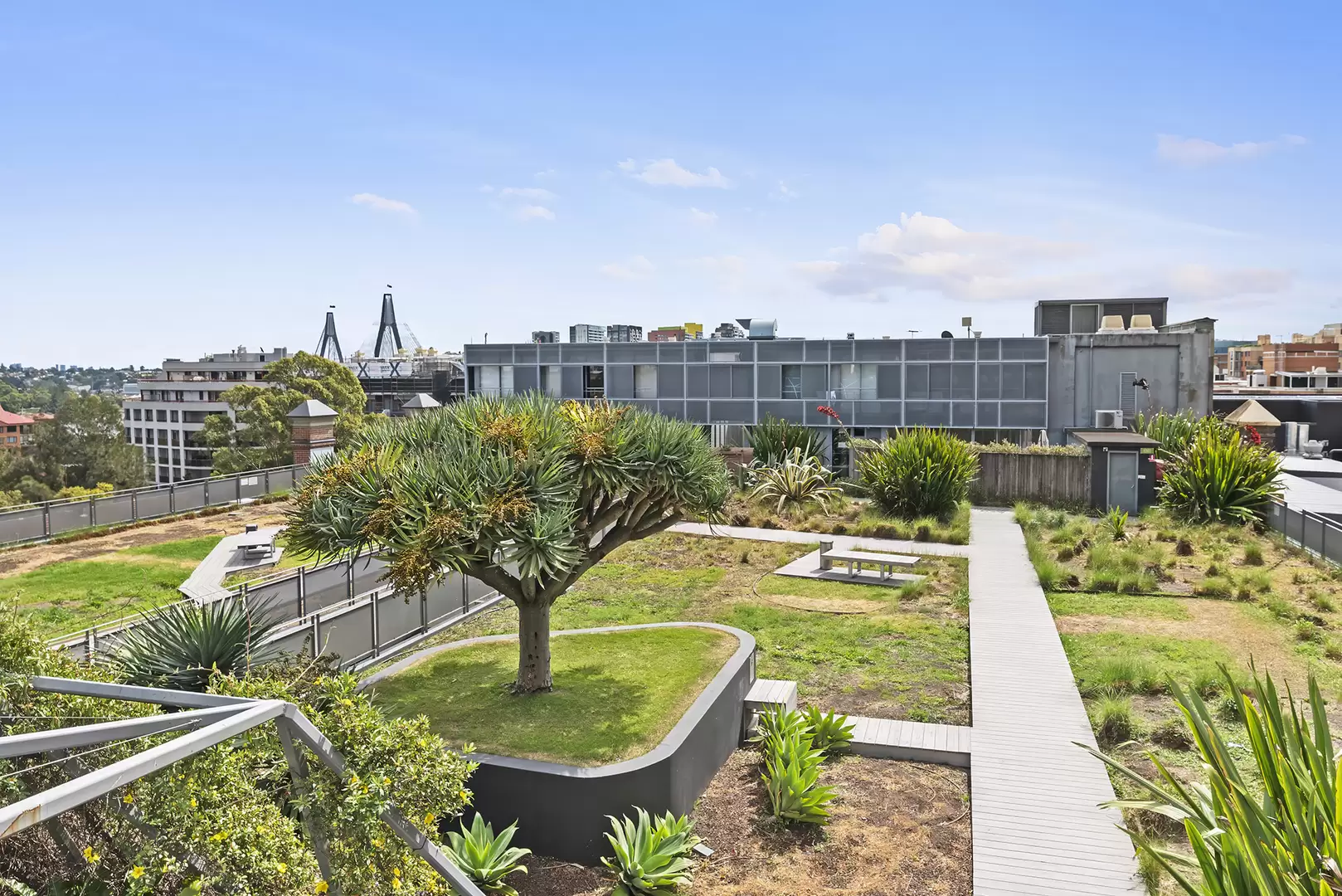 3/320 Harris St, Pyrmont Leased by The Gallery Real Estate - image 10