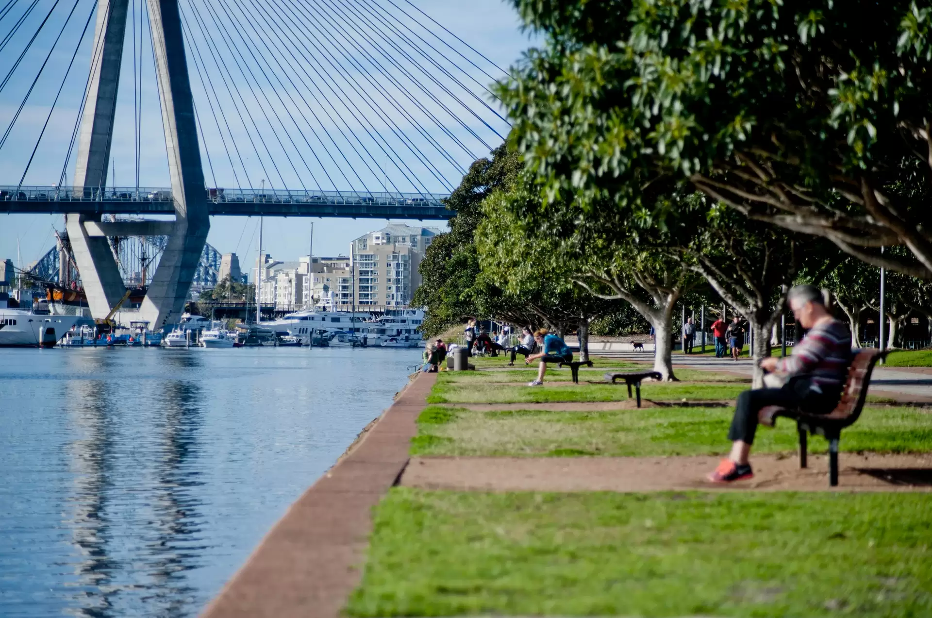 305/22 Scotsman Street, Forest Lodge Leased by The Gallery Real Estate - image 1