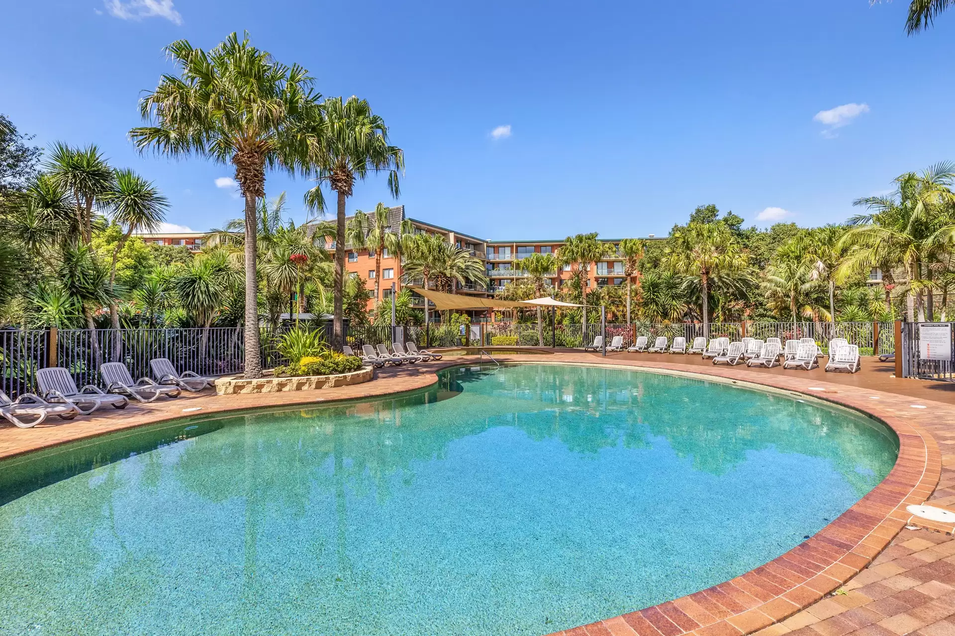 9703/177-219 Mitchell Rd, Erskineville Leased by The Gallery Real Estate - image 1