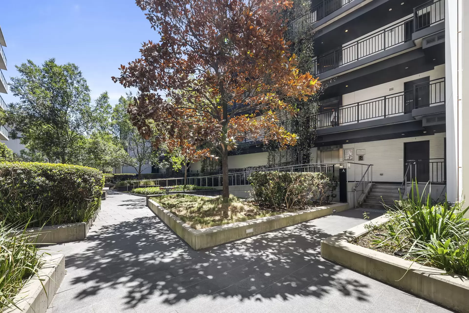 23A/356-368 George Street, Waterloo Leased by The Gallery Real Estate - image 1