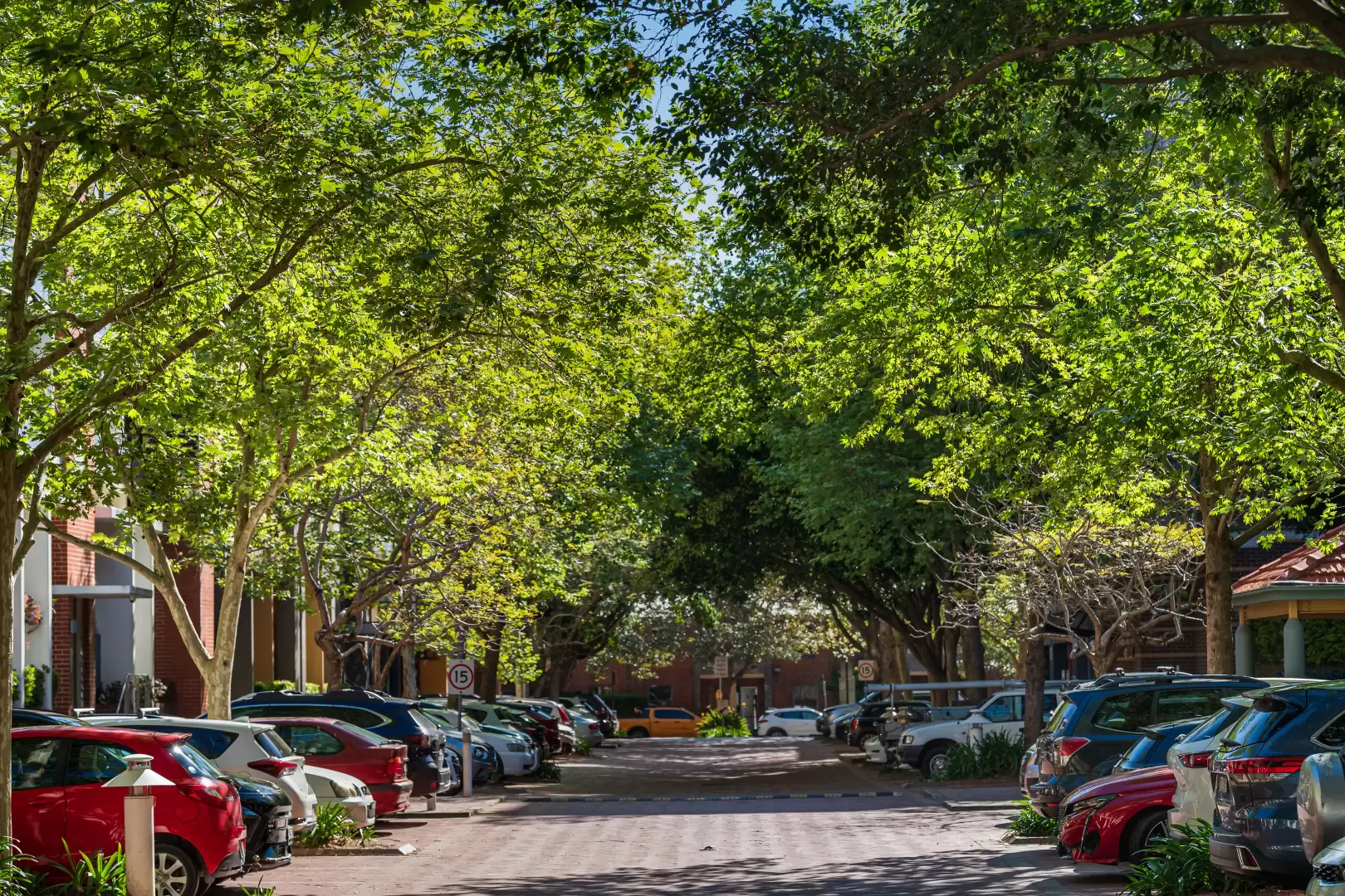 H03/780 Bourke Street, Redfern For Lease by The Gallery Real Estate - image 11