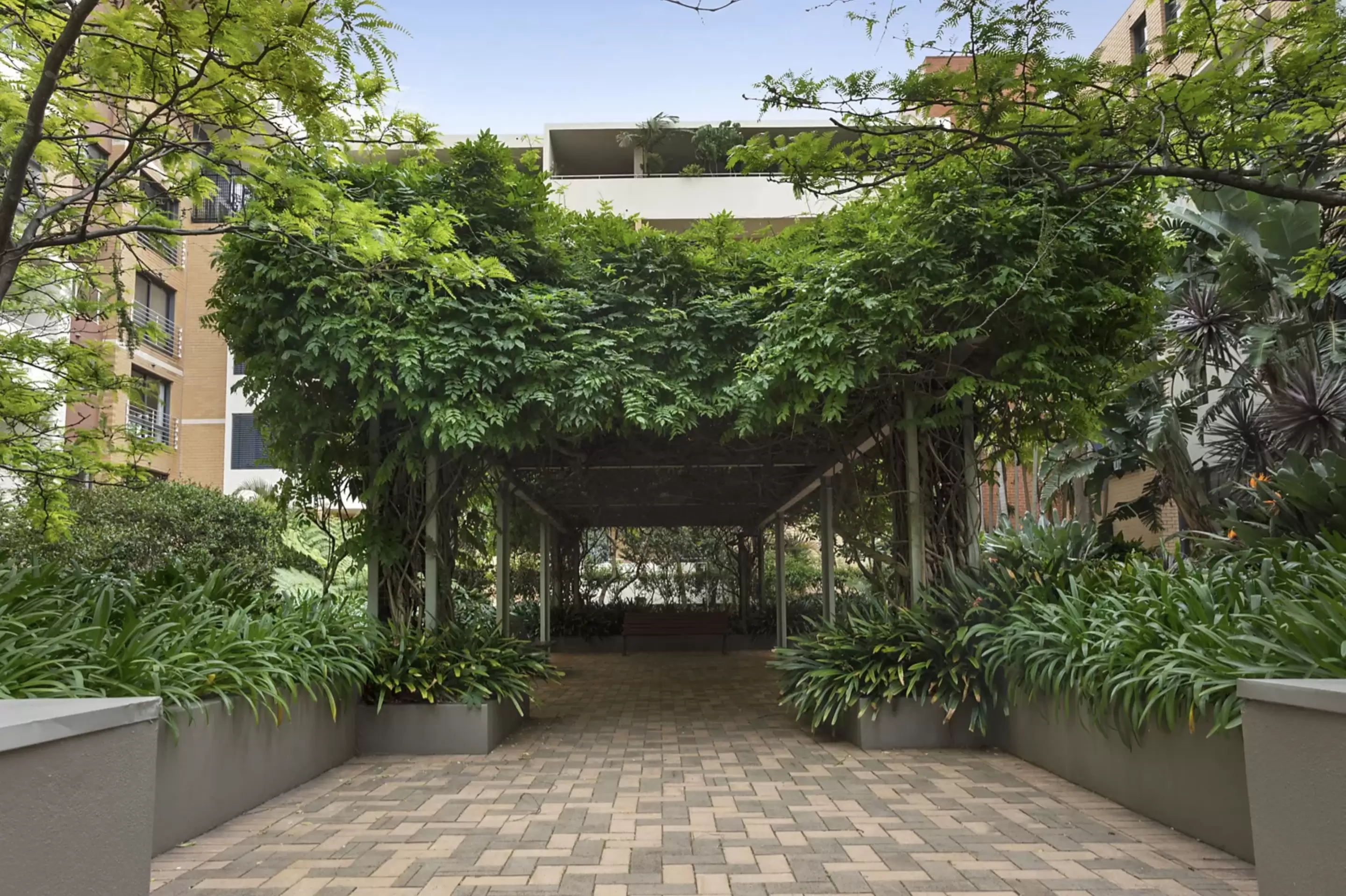 918G/780 Bourke Street, Redfern For Lease by The Gallery Real Estate - image 12