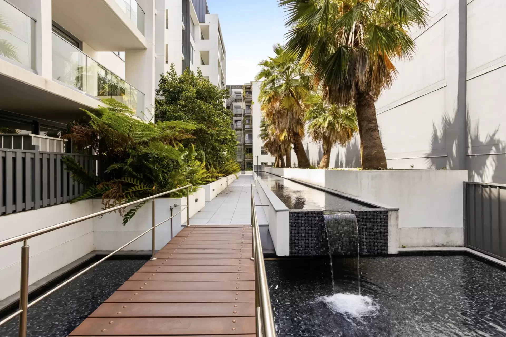 DG31/810-222 Elizabeth Street, Waterloo Leased by The Gallery Real Estate - image 1