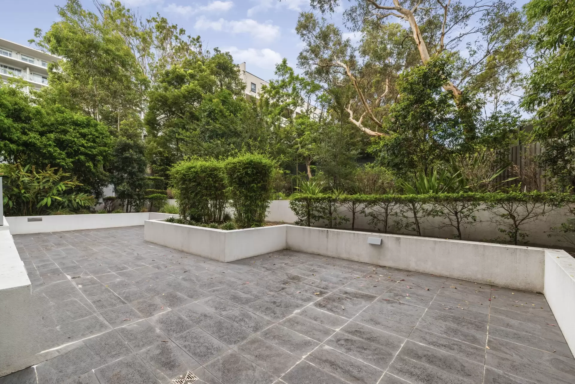 106/19-23 Short Street, Homebush Leased by The Gallery Real Estate - image 1