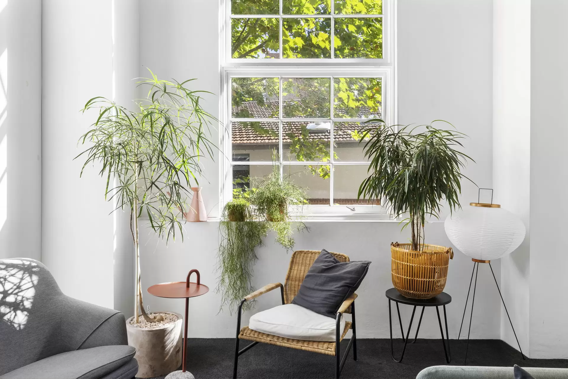 R205/780 Bourke Street, Redfern Leased by The Gallery Real Estate - image 1