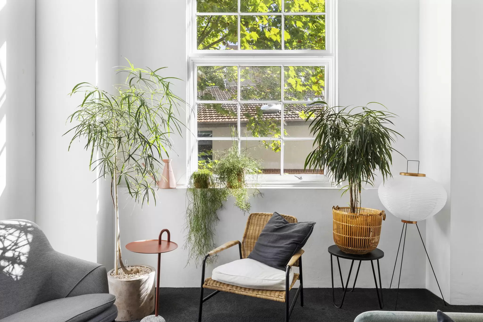 R205/780 Bourke Street, Redfern Leased by The Gallery Real Estate - image 3